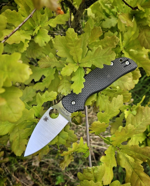 Spyderco Sage 5 in an Oak